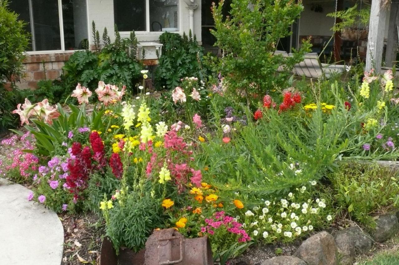 Cedarview Bed & Breakfast Beechmont ภายนอก รูปภาพ